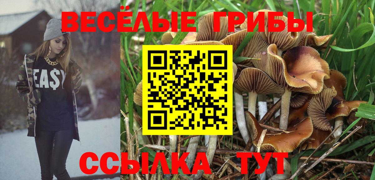 Гусиноозёрск  Галлюциногенные грибы Psilocybine cubensis  Вход с VPN  Псилоцибиновые грибы Cubensis 