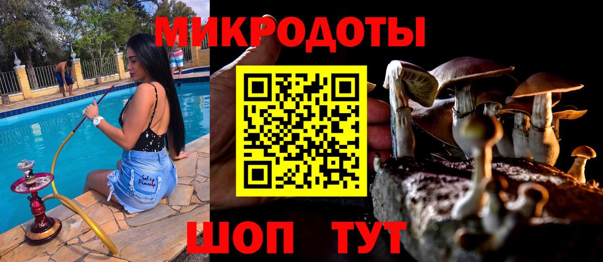 Псилоцибиновые грибы Magic Shrooms Гусиноозёрск